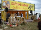 Dożynki