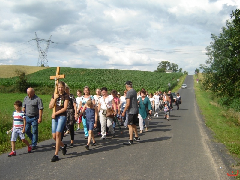 15.07