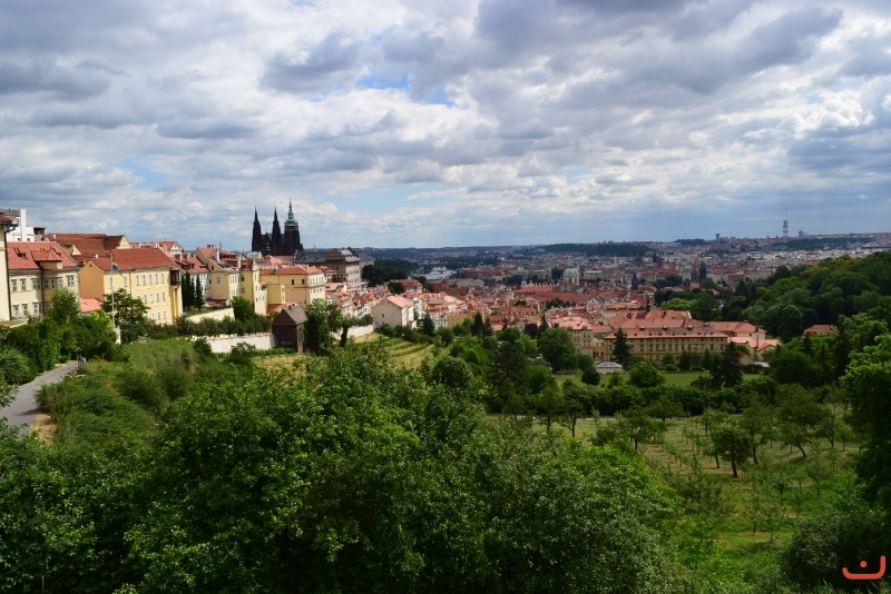 Dzień 3