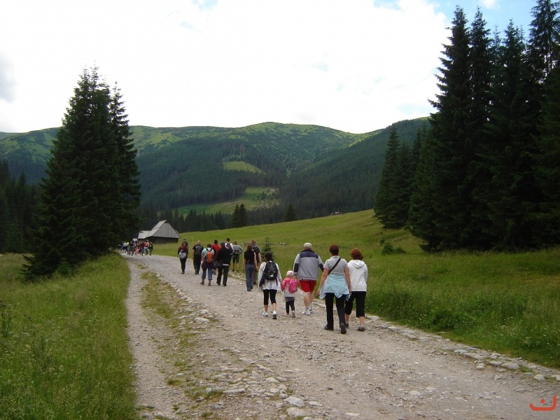 Chochołowska