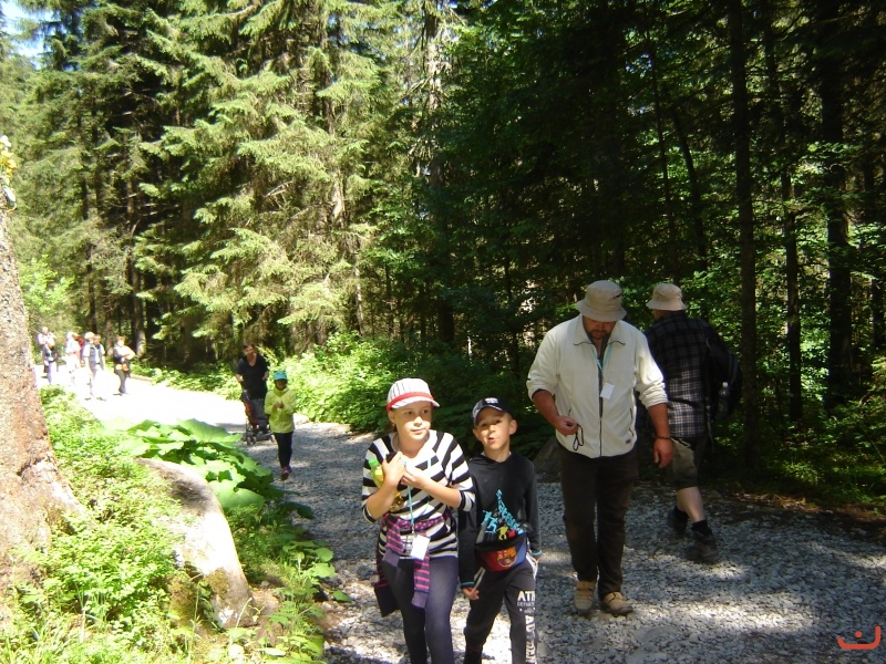 Wiktorówki