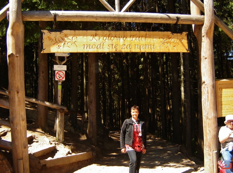 Wiktorówki