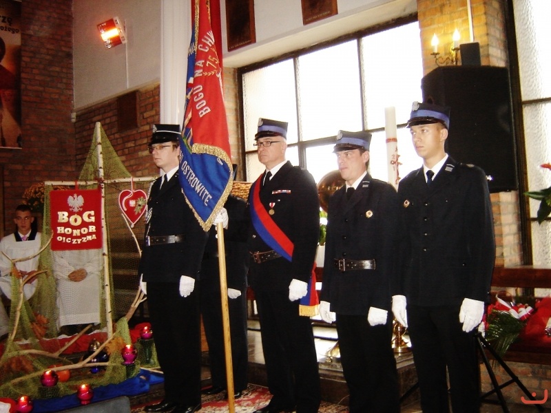 11 listopada 2014-2